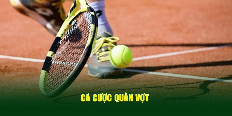 Theo dõi quần vợt tại Crownsports siêu cuốn