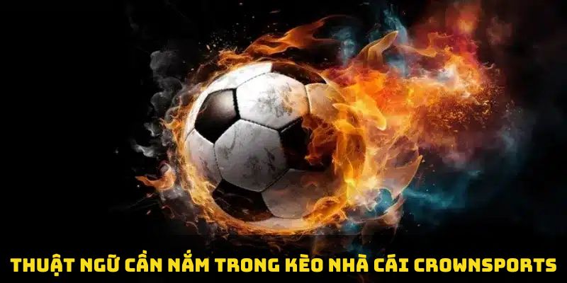 Thuật ngữ cần nắm trong kèo nhà cái Crownsports